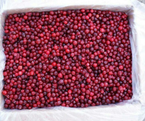 Клюква дикая 10кг Полярис