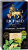 Чай Ричард Digestive зел. аром. 30гр сашет