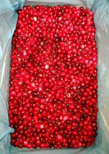 Клюква Садовая "Зима  и Лето"( 10 кг)