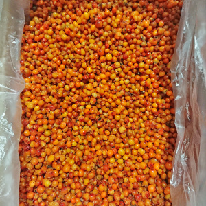 Облепиха дикая 10кг ТД Шкуренко