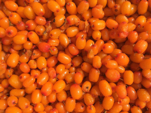 Облепиха Зима и Лето (10 кг) Китай