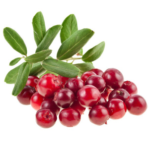 Клюква дикая 10кг Импайс