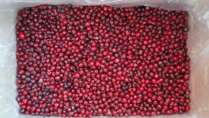 Брусника 10кг Импайс