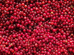 Брусника 10кг АРТ Холод