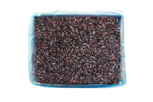 Жимолость 2,5кг