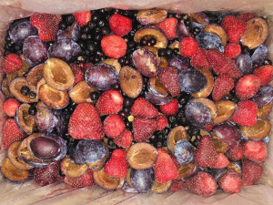 Смесь компотная (с яблоком) Зима и Лето (10кг)