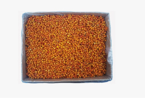 Облепиха 10кг АРТ Холод