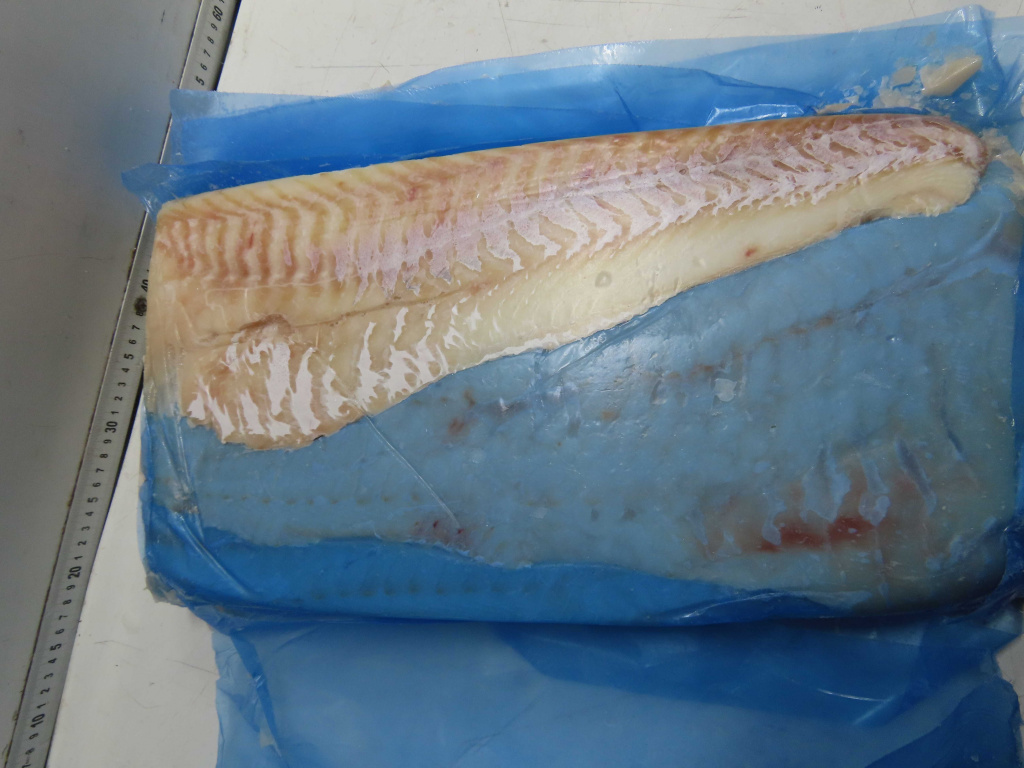 филе 450-900.JPG